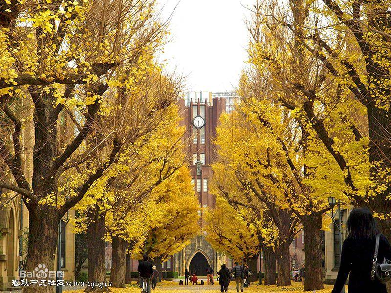 东京大学.jpg